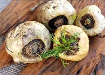 type of superfood rarely known but great for that thing 128704