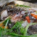 types of fish to eat to boost collagen sisters should know 127430