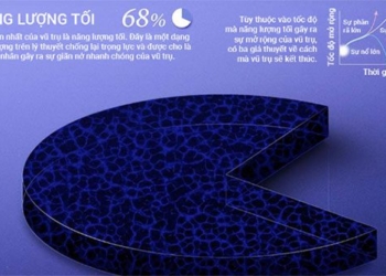 understanding the components of the universe 128115