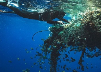unexpected discovery about rubbish island binh duong 127037