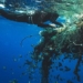 unexpected discovery about rubbish island binh duong 127037