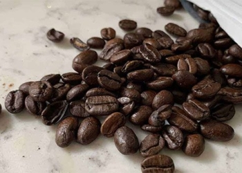unique coffee species made from bird droppings priced at about 1 000 usd per kg 110974