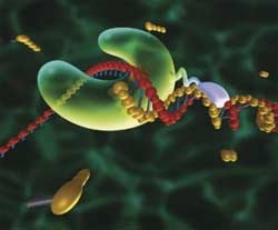 us expert consultation on advanced diagnostic technology 5248