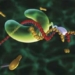 us expert consultation on advanced diagnostic technology 5248