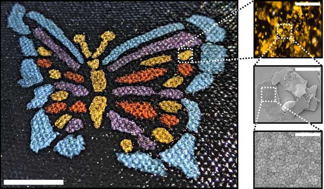 Researchers use structural paint to draw a butterfly.