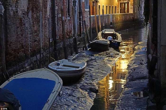 In recent years, the city of Venice has been facing low tides.