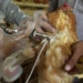 vietnam produces h5n1 vaccine for poultry 5385