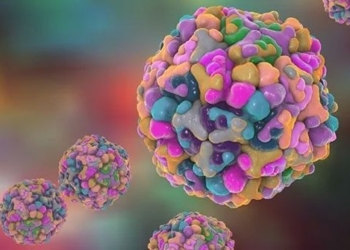 virus causing hand foot mouth disease recurrence 127821