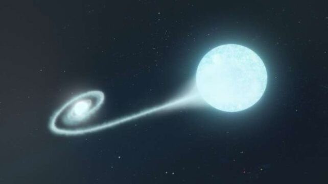 A companion star losing material just before the explosion.