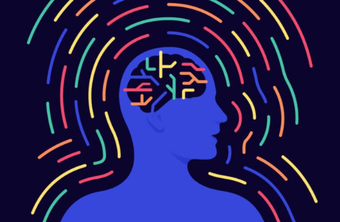 This system is called the Somatic-Cognitive Action Network (SCAN).