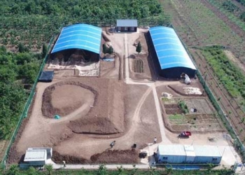 wake up with giant pillars in the chinese cemetery 2 100 years 129096