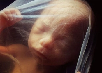 we are synced in mothers womb like the mermaid 127970