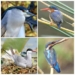 what defines diversity of types 5446