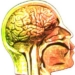 what is the biological basis of y thuc 5542