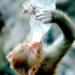 when drinking alcohol to relieve sorrow 5429