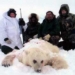 white bear can reunite with brown bear 5457