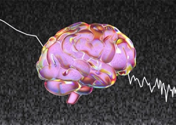 who can accurately reproduce more than 80 images in the human brain 127231