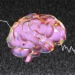 who can accurately reproduce more than 80 images in the human brain 127231