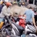 why attack human 126867