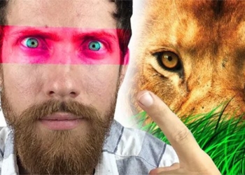 why humans are afraid of the eyes of top predators 127117