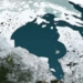 why humans are lighter in some places in canada 127569