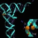 why humans have so few genes 5865