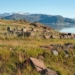 why vikings left greenland 127065