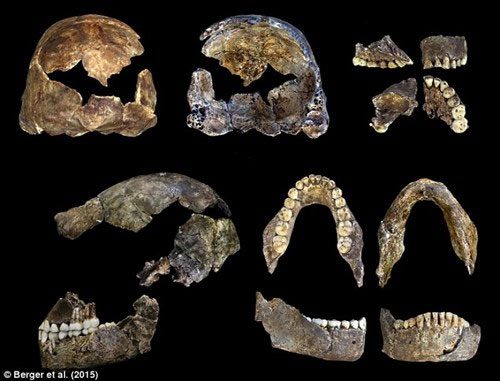 The oldest burial site in the world contains the remains of Homo naledi.