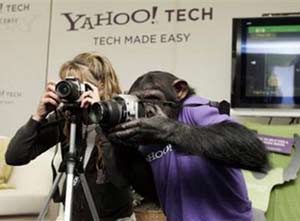 yahoo monkey