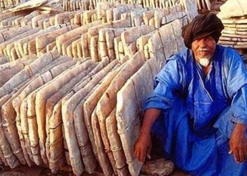 you may not know salt has been considered a symbol of nobility 127648