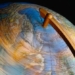 12 years ago there was an earthquake that tilted the earths axis 126275