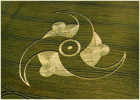 13Crop Circles
