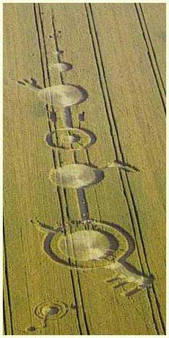 15Crop Circles240