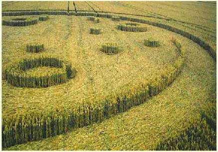 17Crop Circles