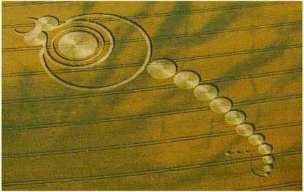 19Crop Circles