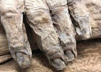 250 year old mummified body exonerates the ancestor of the former uk prime minister 126087