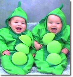 2sinhdoi twins