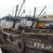 40 000 fishing vessels will become 7022 coral reefs