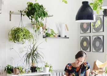 5 steps to save your plant when it turns yellow 126471