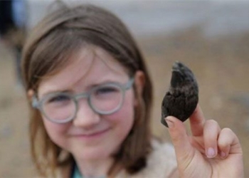 9 year old girl finds 700000 year old shark tooth on beach 124986