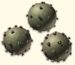 AIDS virus