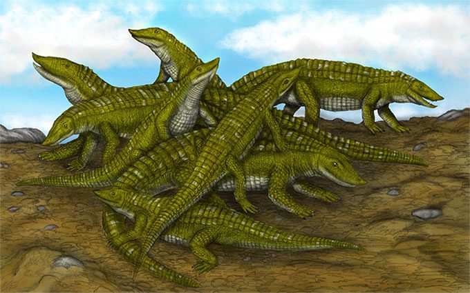Aetosaur eagle lizard
