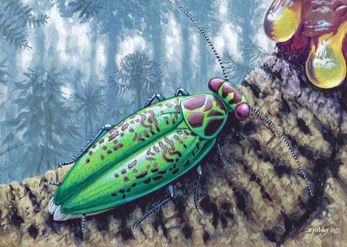 The colorful and metallic "monster" cockroach from the Cretaceous