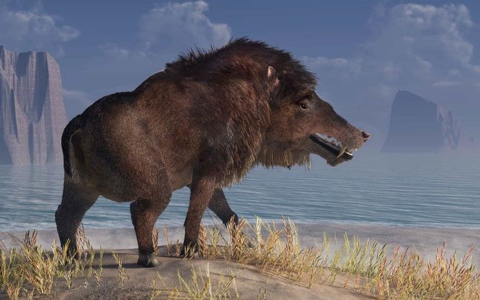 Andrewsarchus is a genus of mammals that lived during the middle Eocene