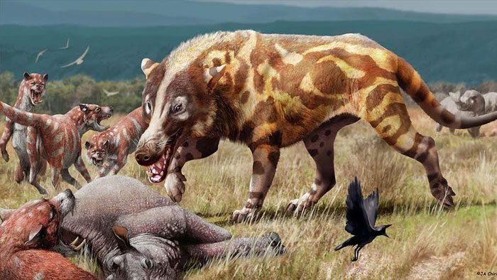 Andrewsarchus mongoliensis