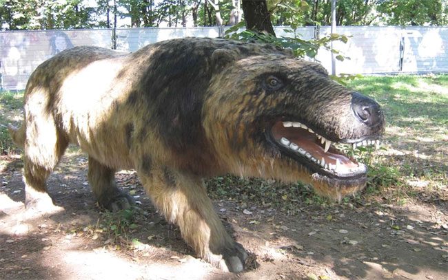 Andrewsarchus stood as tall as a horse and weighed over a ton.