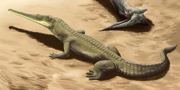 Portrait of Colossosuchus techniensis when it was alive on Earth