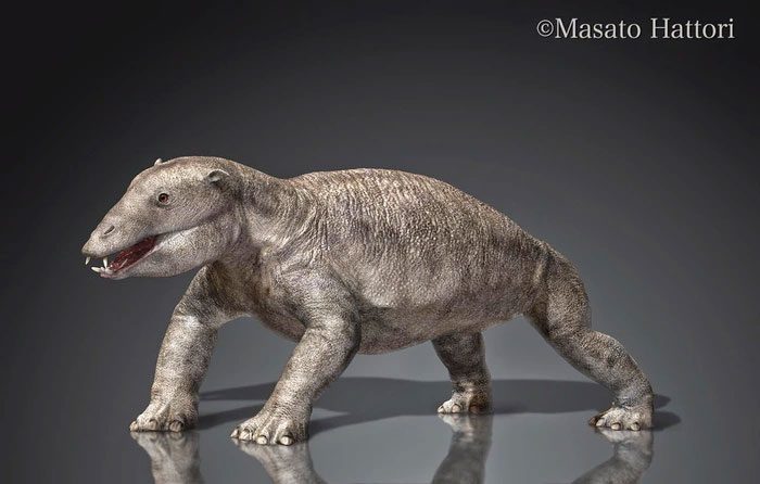 They had short tails and extremely strong limbs.