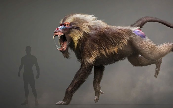 Dinopithecus is an extinct giant gibbon species