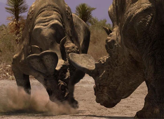 This strange "horn" structure may have been used to differentiate appearance